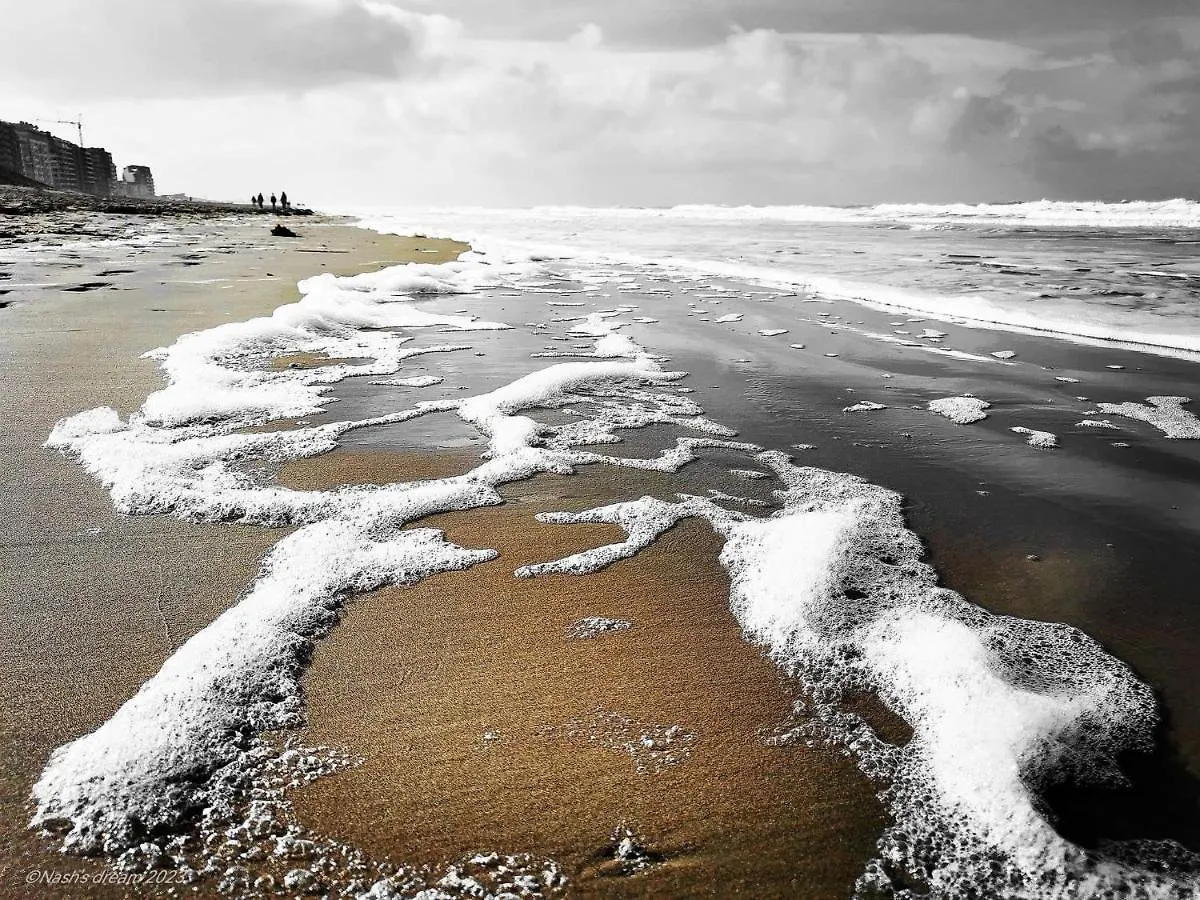 Casino Beach Middelkerke 0*,
